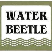 Water-beetle